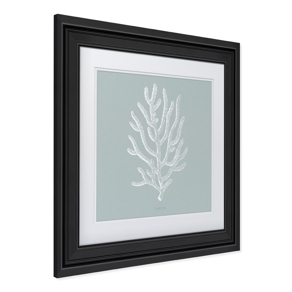 Agropora picture with frame effect