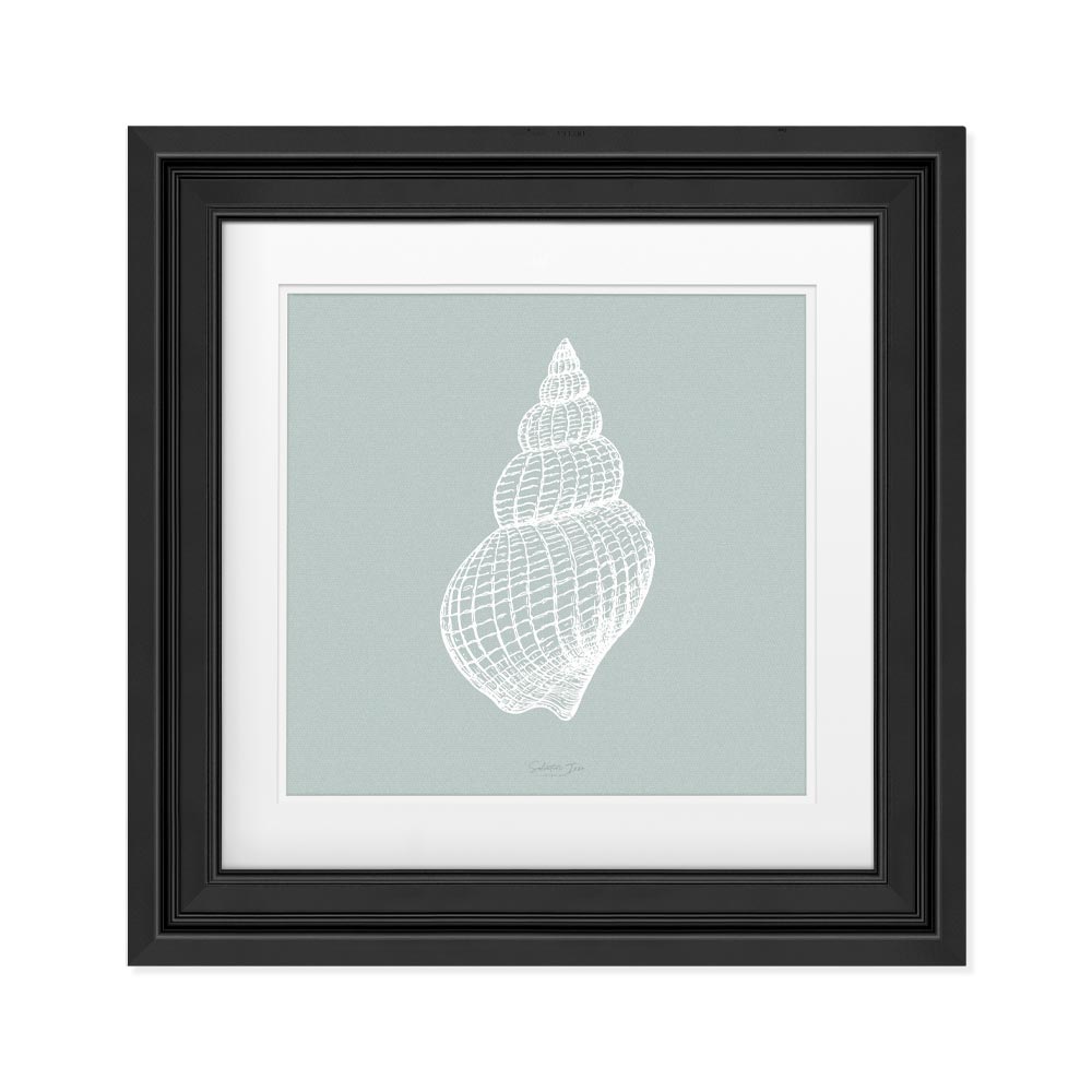 Tulip Picture Frame Effect