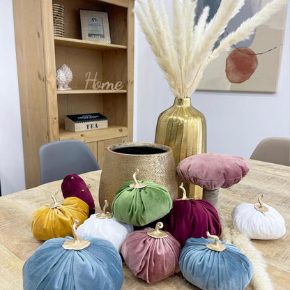 Elegant Decorative Pumpkin Set in velvet