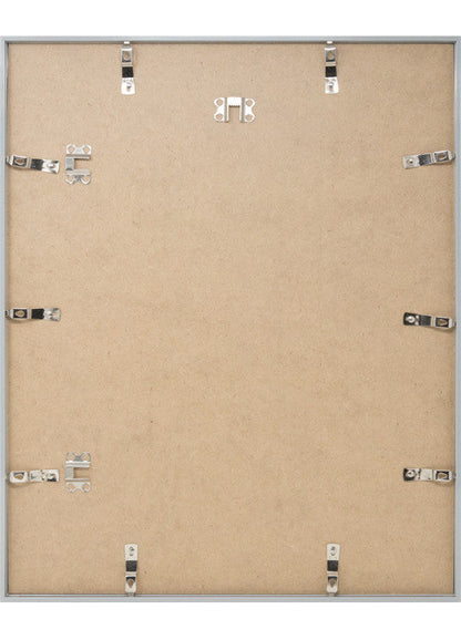 Poster Gorgonia