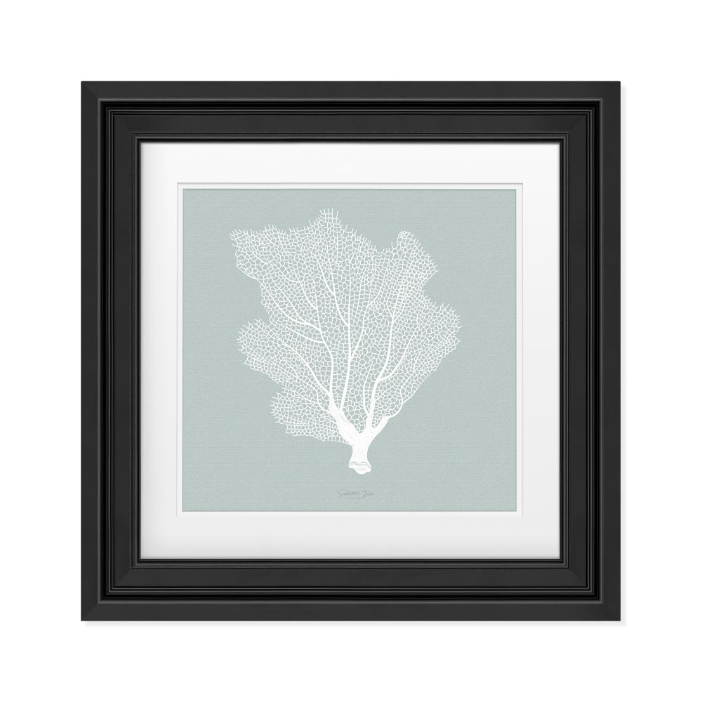 Gorgonian picture with frame effect