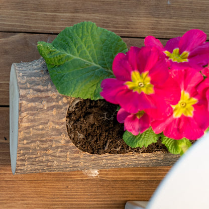 Planter trunk