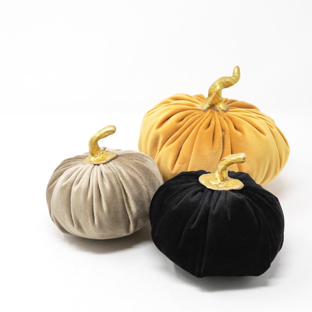 Set Rock Decorative Pumpkin in velvet