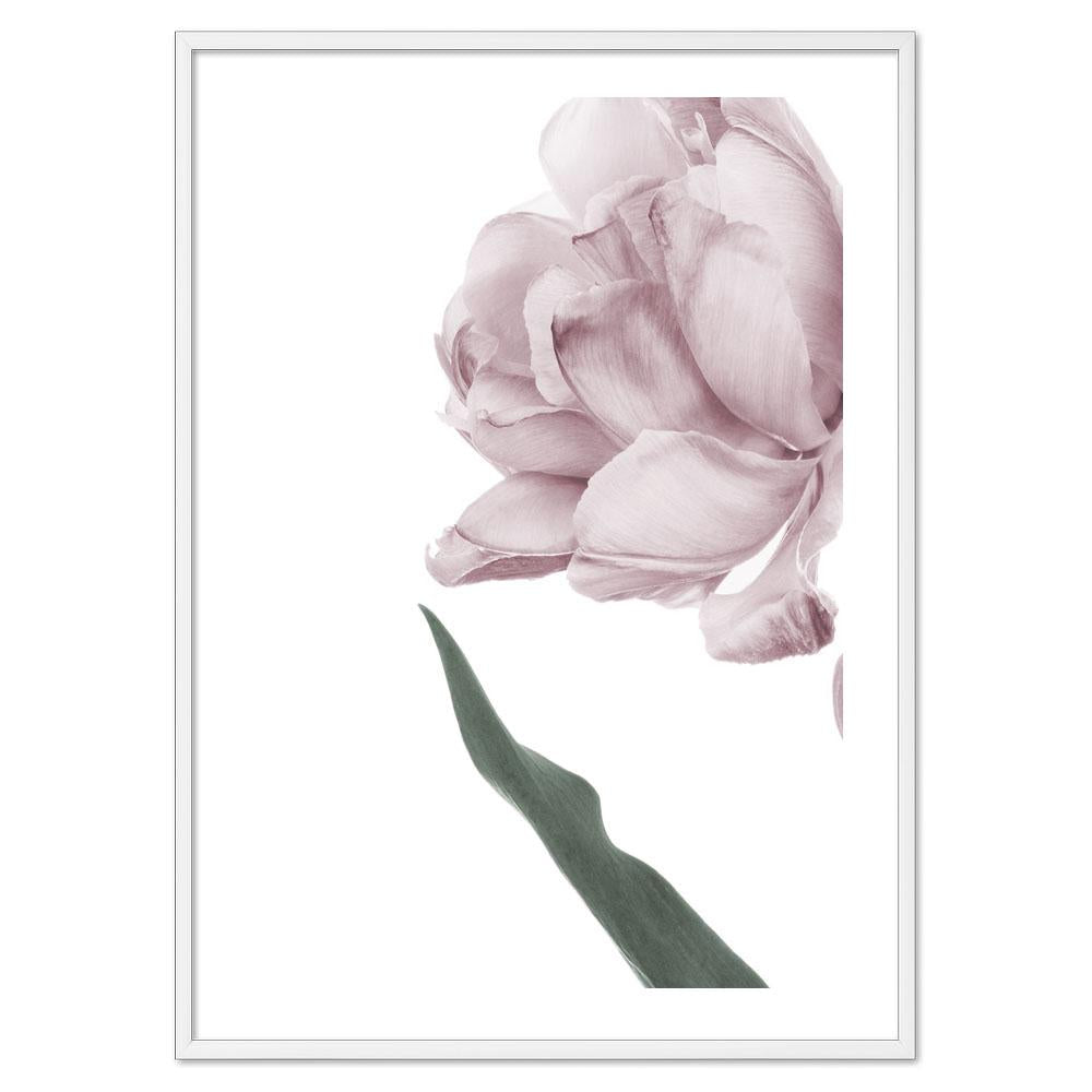 Pink Flower Poster