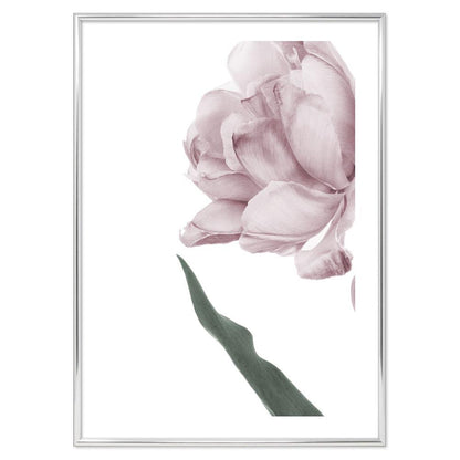 Pink Flower Poster