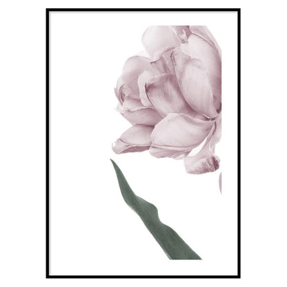 Pink Flower Poster