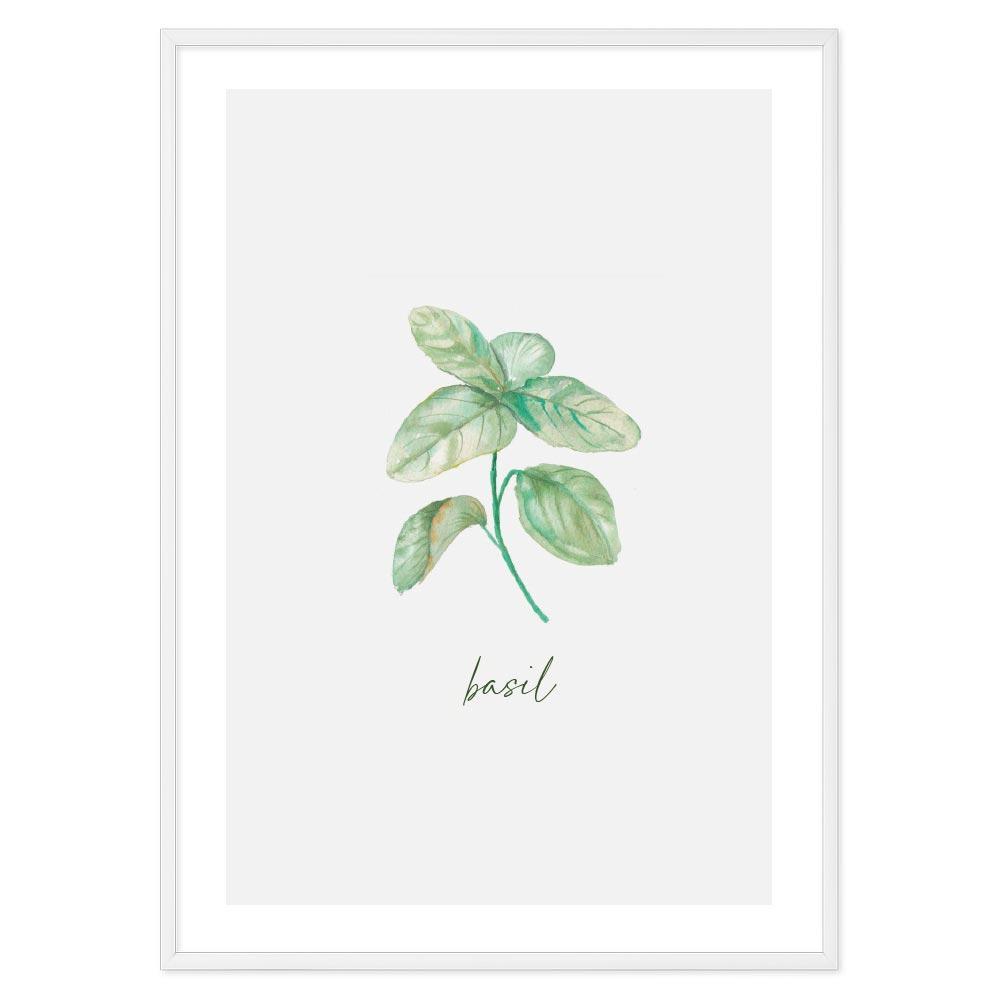 Poster Basil