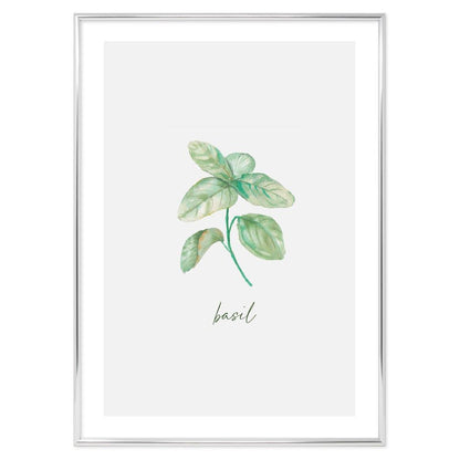 Poster Basil