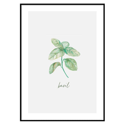 Poster Basil