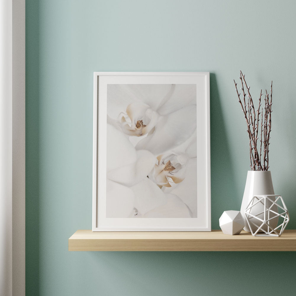 Poster White Flowers