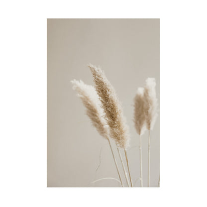 Pampas Floral Poster