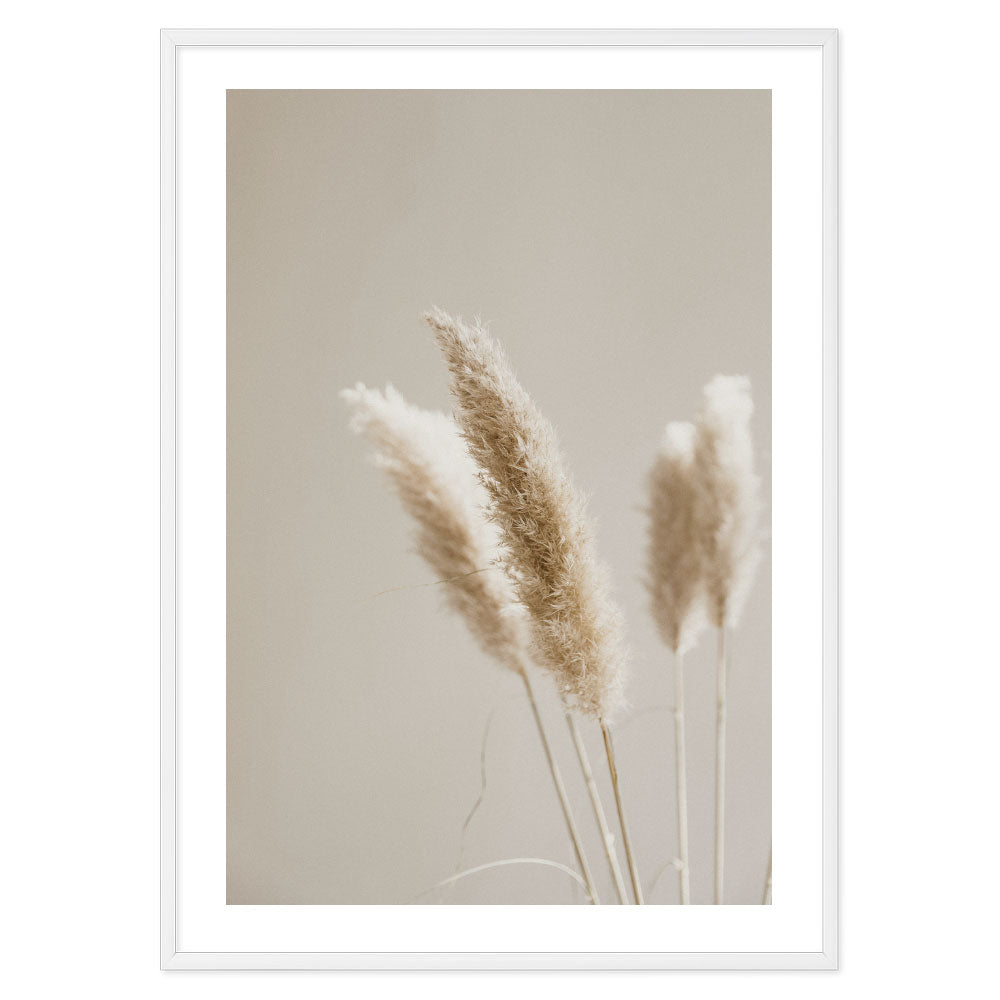 Pampas Floral Poster