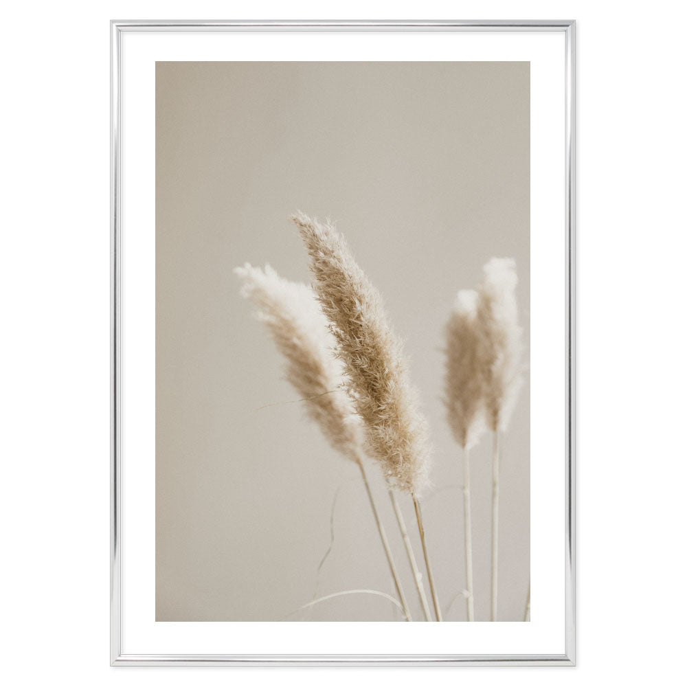 Pampas Floral Poster