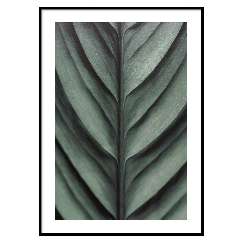 Leaf detail poster