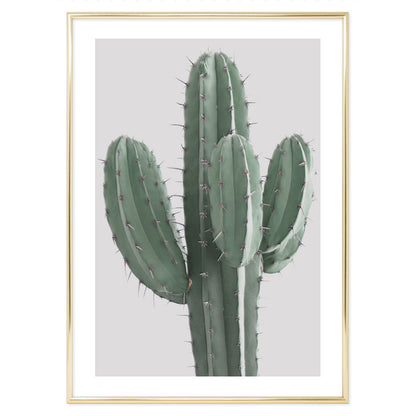 Poster Cactus