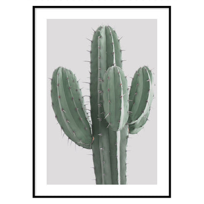 Poster Cactus