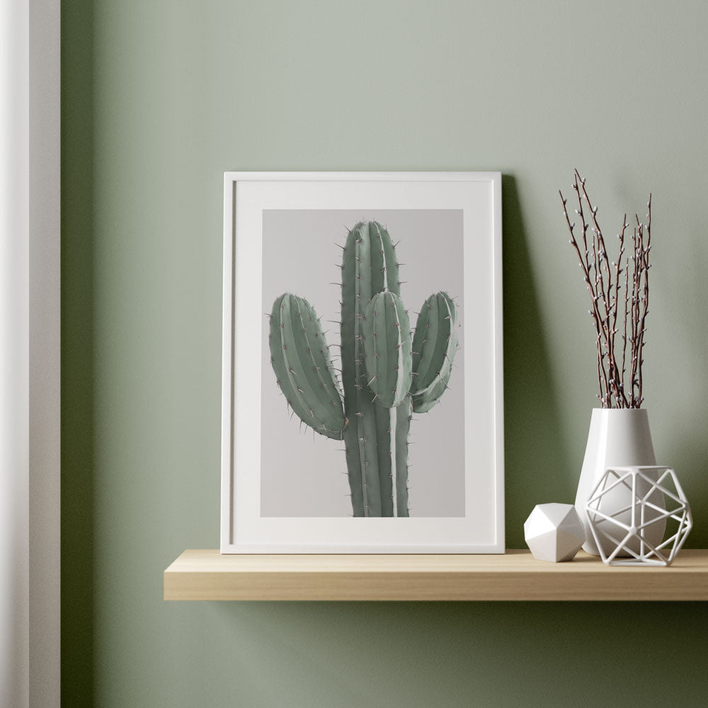 Poster Cactus