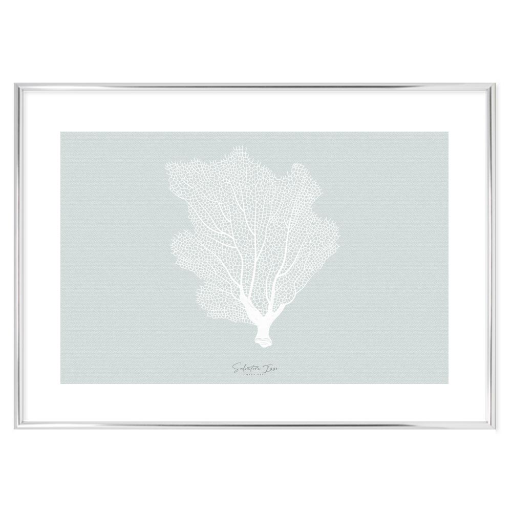 Gorgonian poster