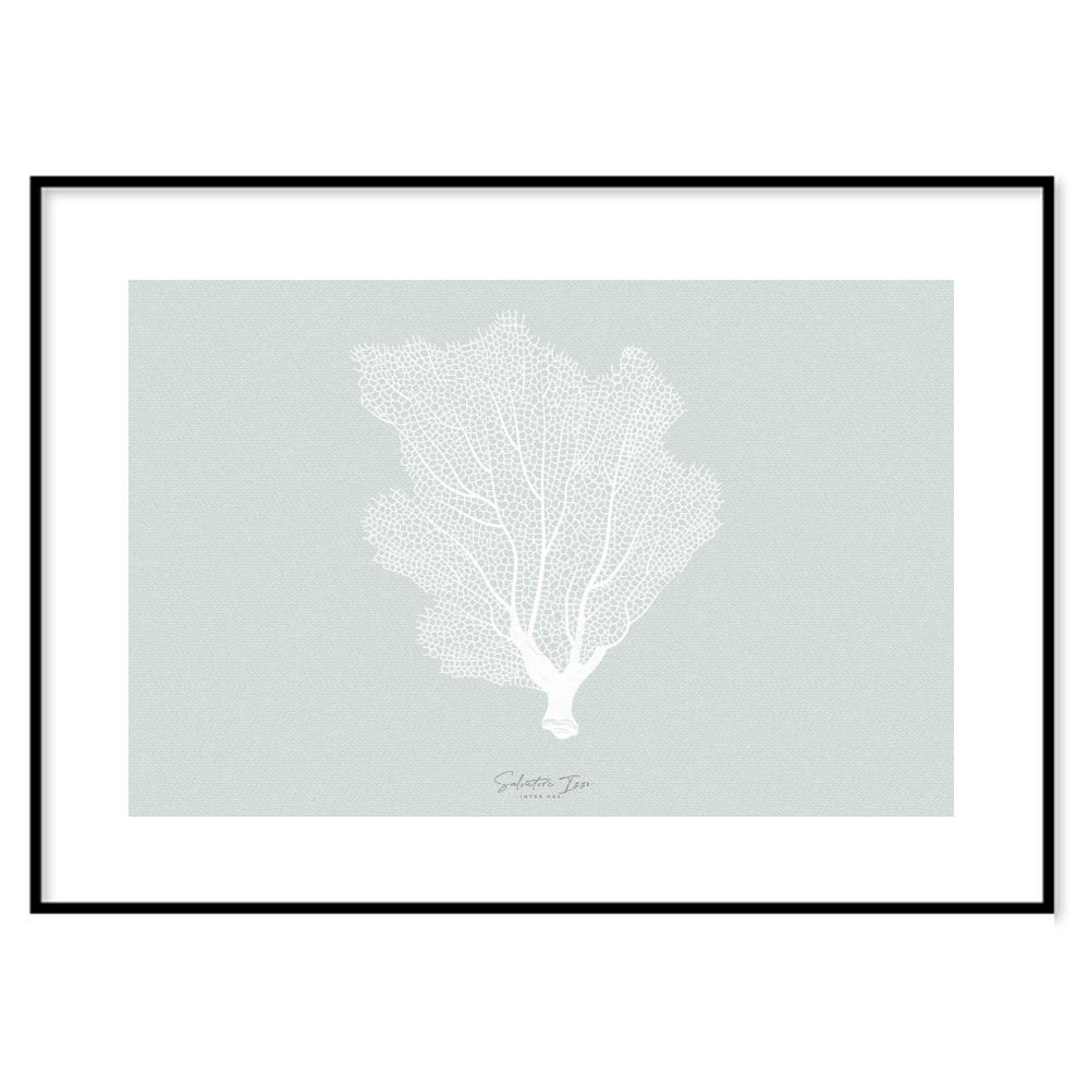 Gorgonian poster