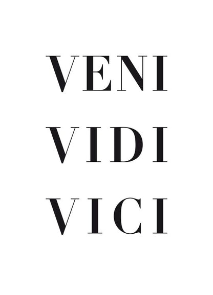 Veni vidi vici (5891423240341)