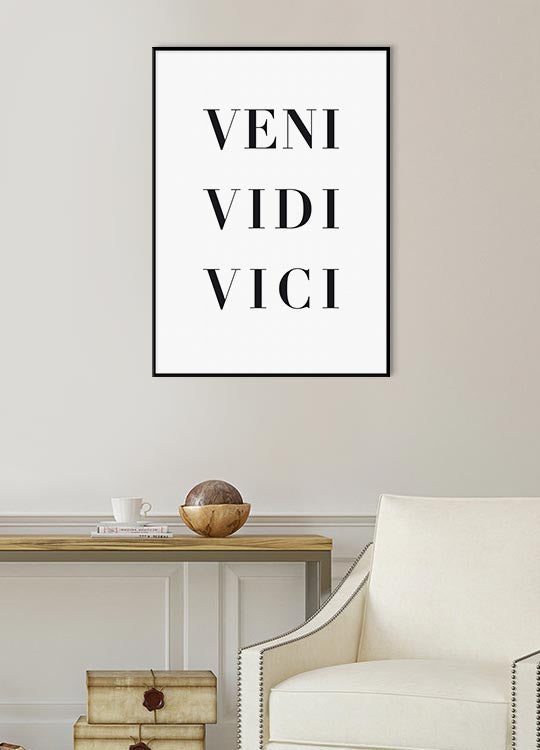 Veni vidi vici (5891423240341)