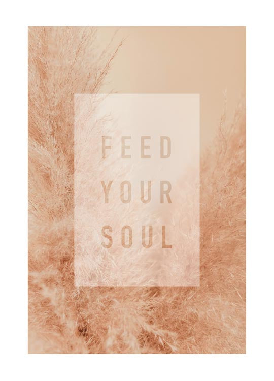 Feed your soul