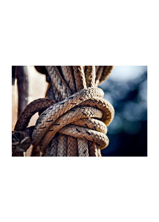 Rope (5891535011989)